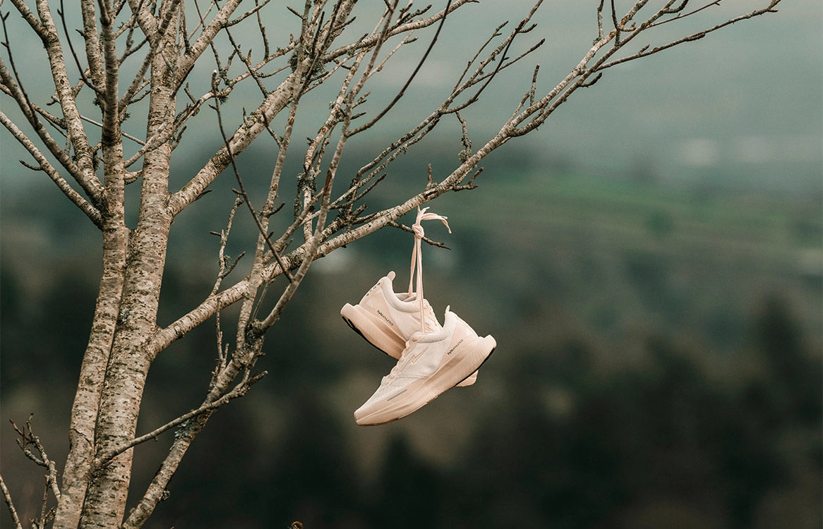 A pair of pale hylo shoes hangs by its laces from a bare branch